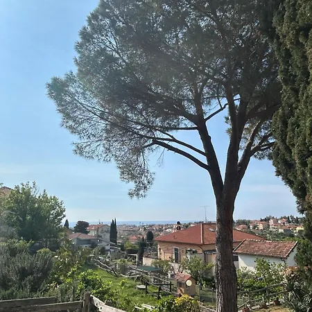 Quieto Mare
